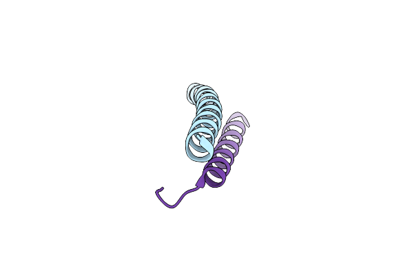 3W19 image