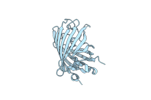 3W1C image