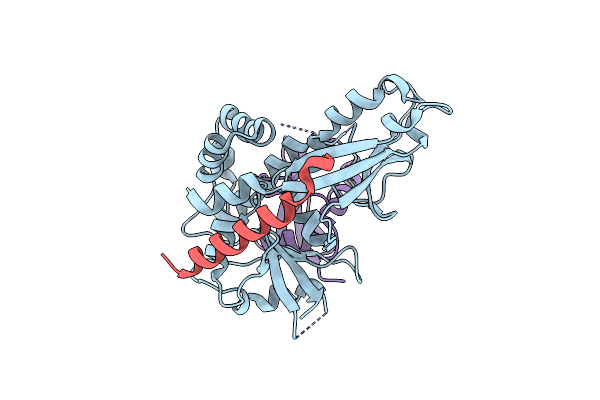 3W1S image
