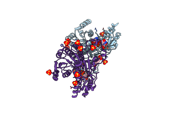 3W1V image