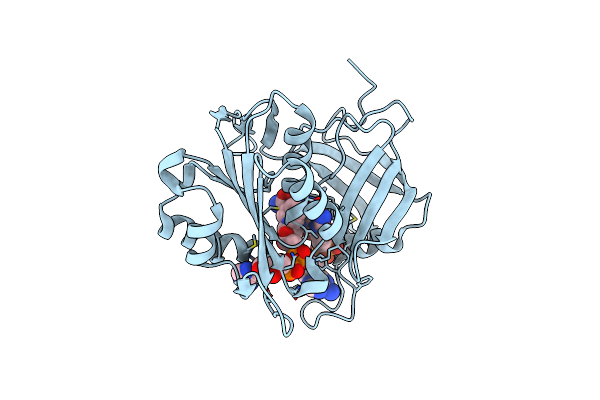 3W2F image