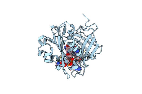 3W2H image