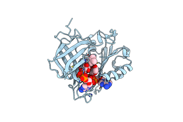 3W2I image