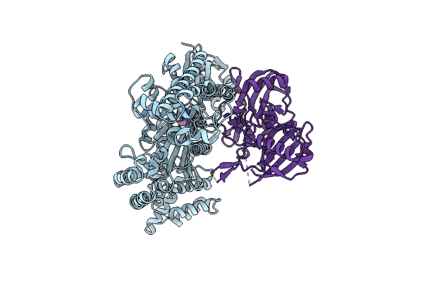 3W2V image