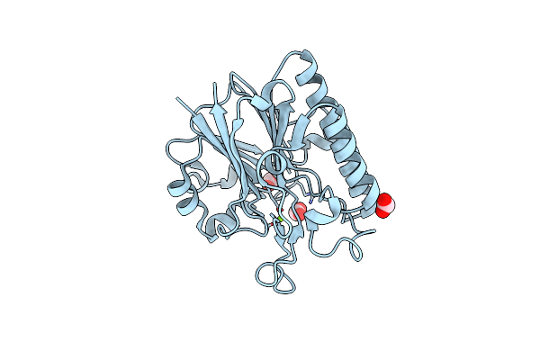 3W2X image