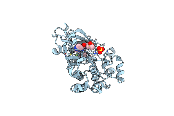 3W32 image