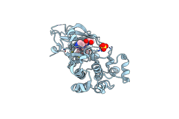3W33 image