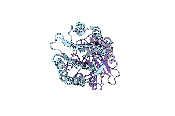 3W40 image