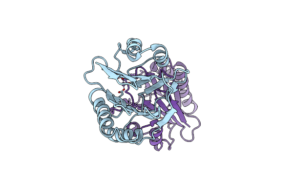 3W42 image