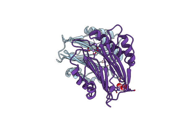 3W44 image