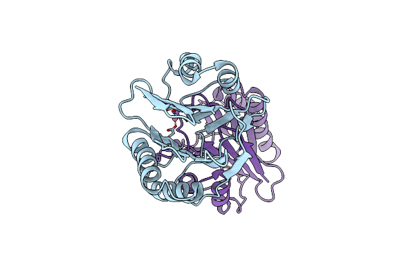 3W45 image