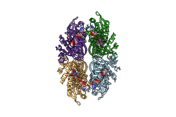 3W4I image
