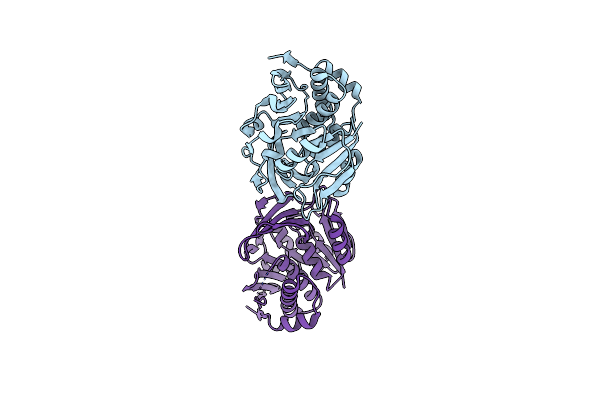 3W4S image