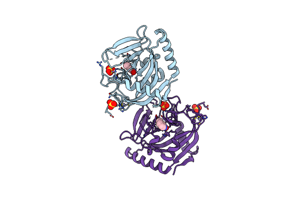 3W51 image