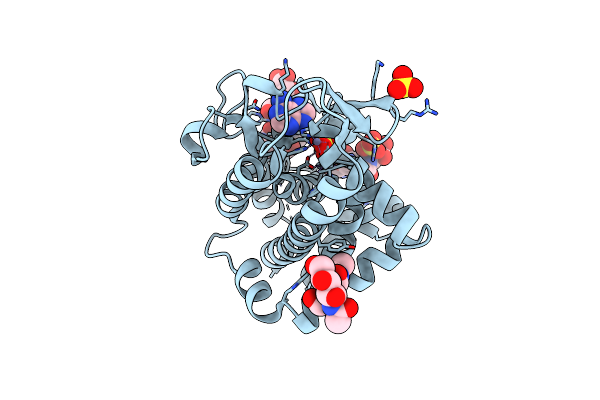3W52 image