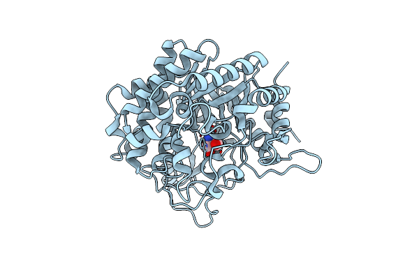 3W53 image