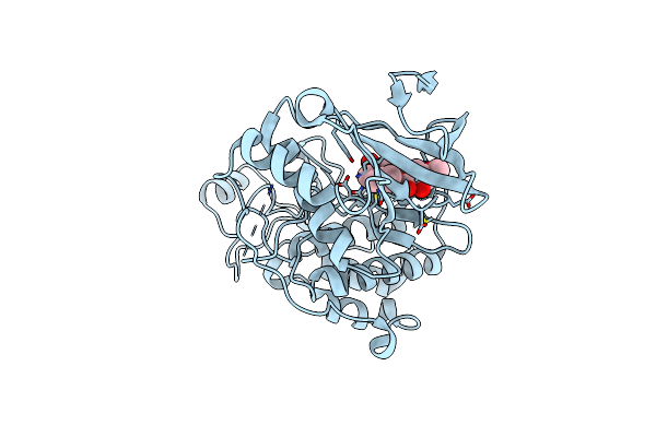 3W55 image