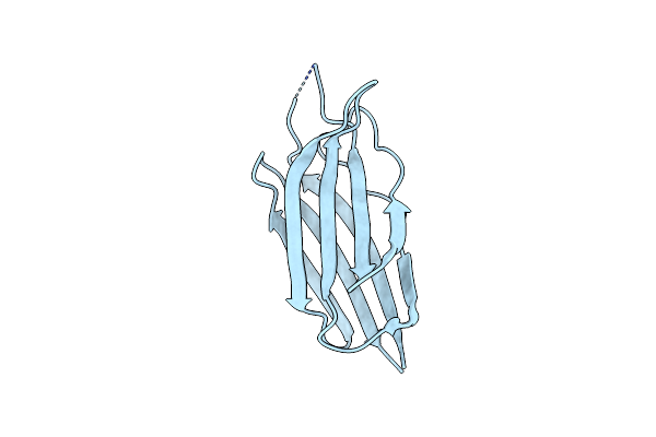 3W56 image