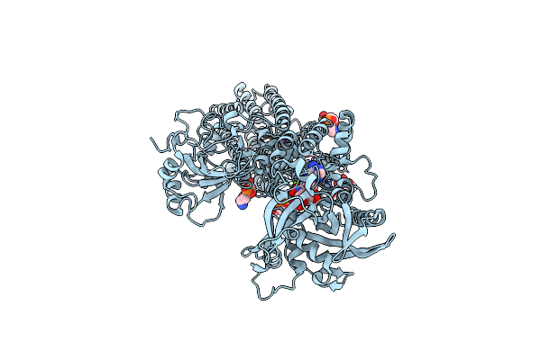 3W5B image