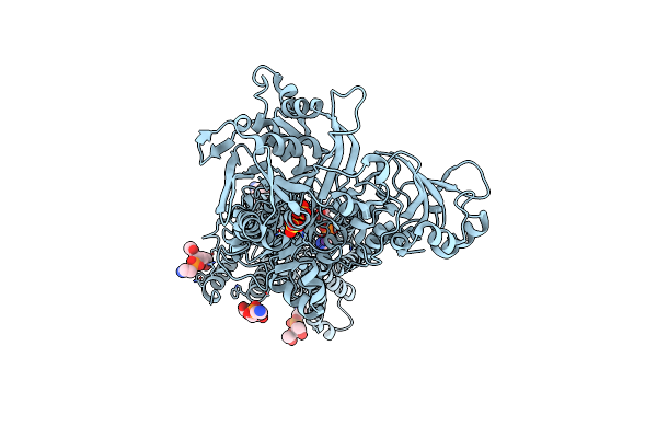 3W5D image