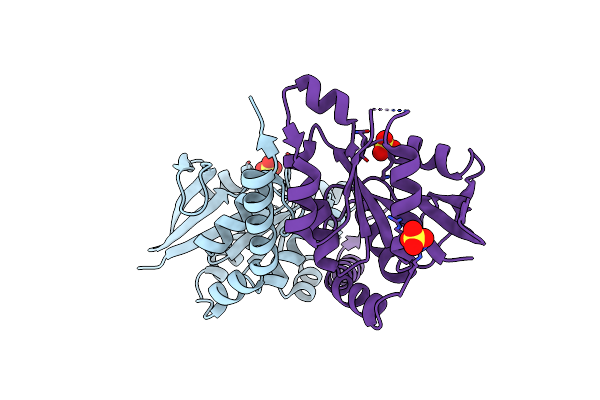3W5I image