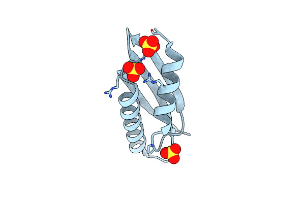3W5X image