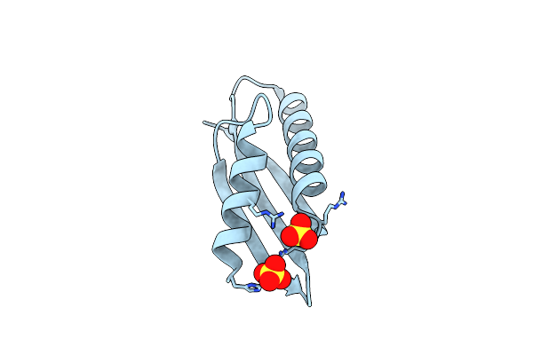 3W63 image