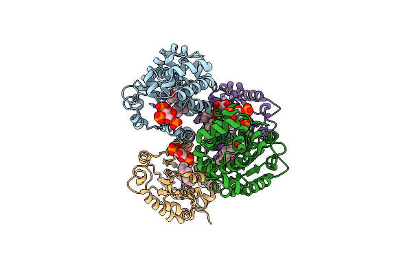 3W68 image