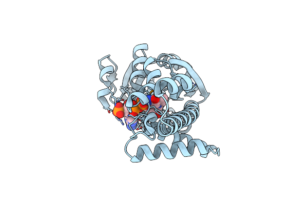 3W6U image