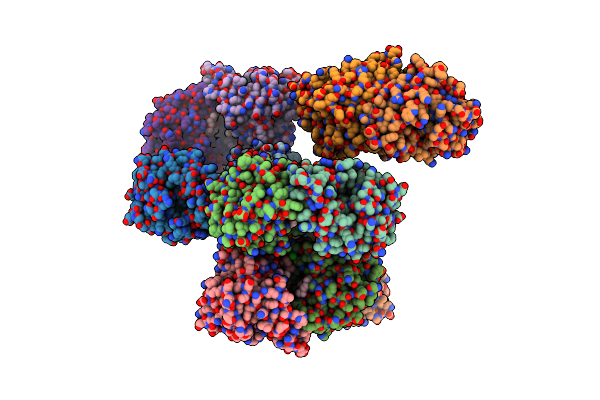 3W6X image