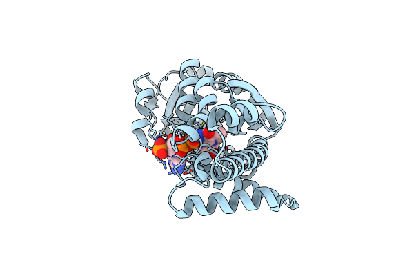 3W6Z image