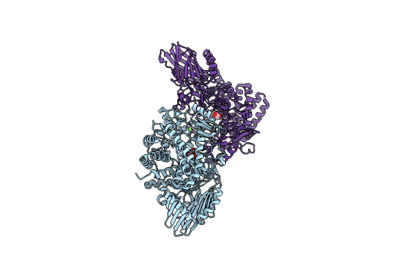 3W7X image