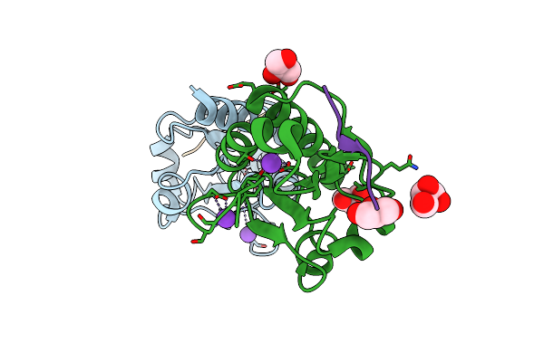 3W8J image
