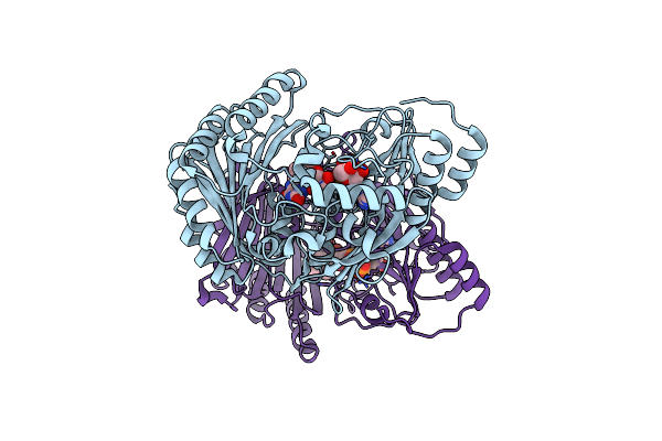3W8W image