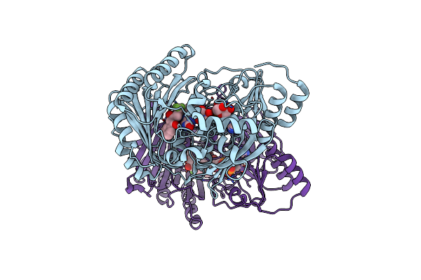 3W8X image