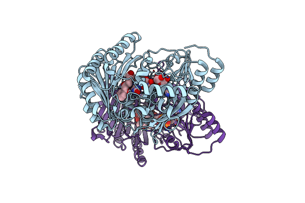 3W8Z image