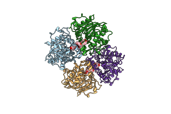3W9B image