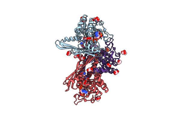 3WBF image