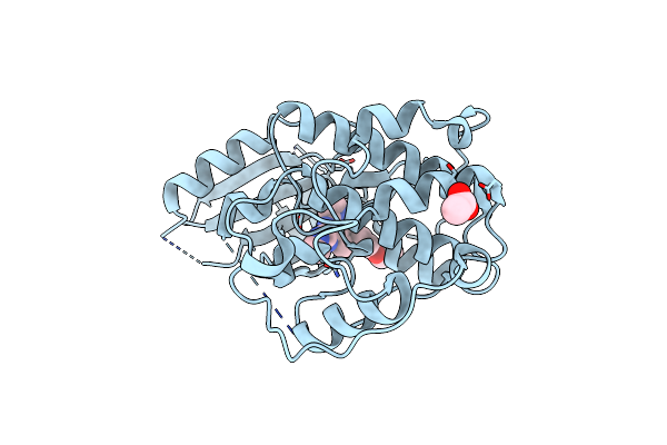 3WBL image
