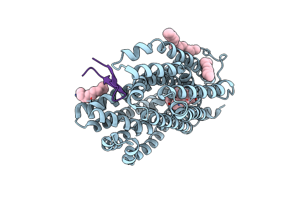 3WBN image