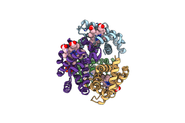 3WCP image