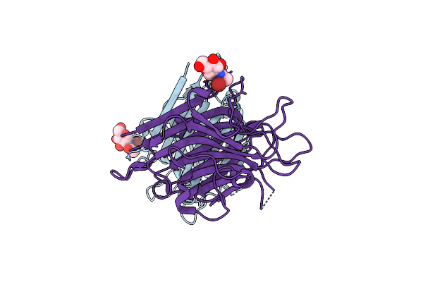 3WCR image