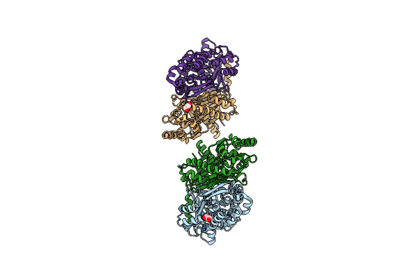 3WD8 image