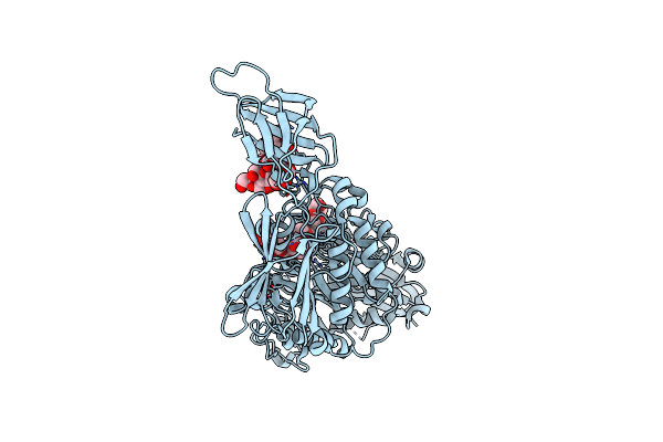 3WDI image