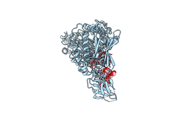 3WDJ image
