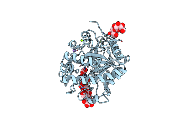 3WDR image