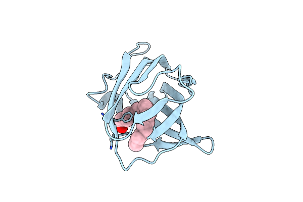 3WEB image
