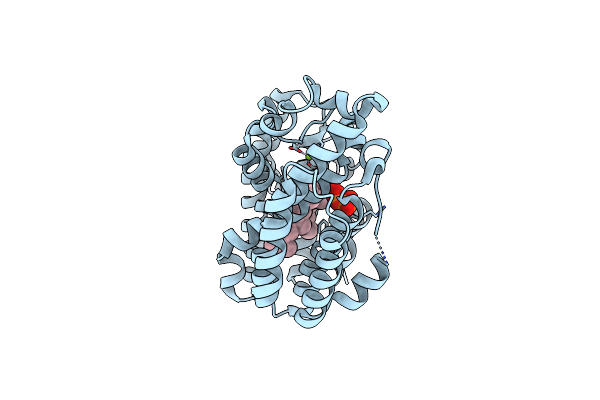 3WEH image