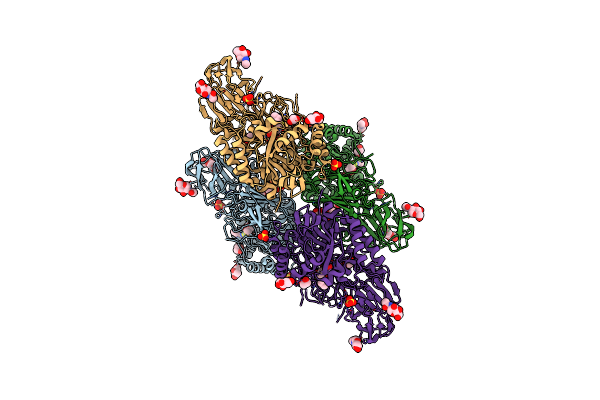 3WF1 image