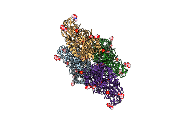 3WF3 image